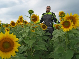 sunflowers 2 Me in the sunflowers